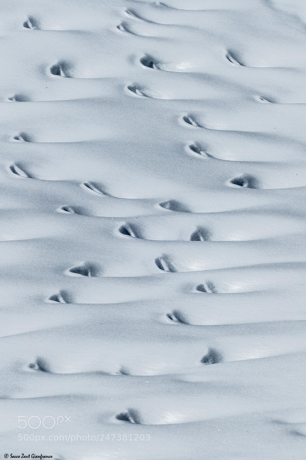 Leica V-Lux (Typ 114) sample photo. Old footprints photography