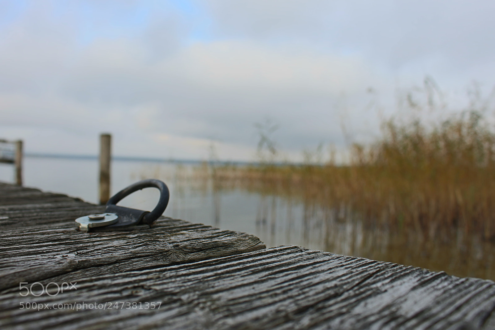 Canon EOS 700D (EOS Rebel T5i / EOS Kiss X7i) sample photo. Natur in ruhe photography