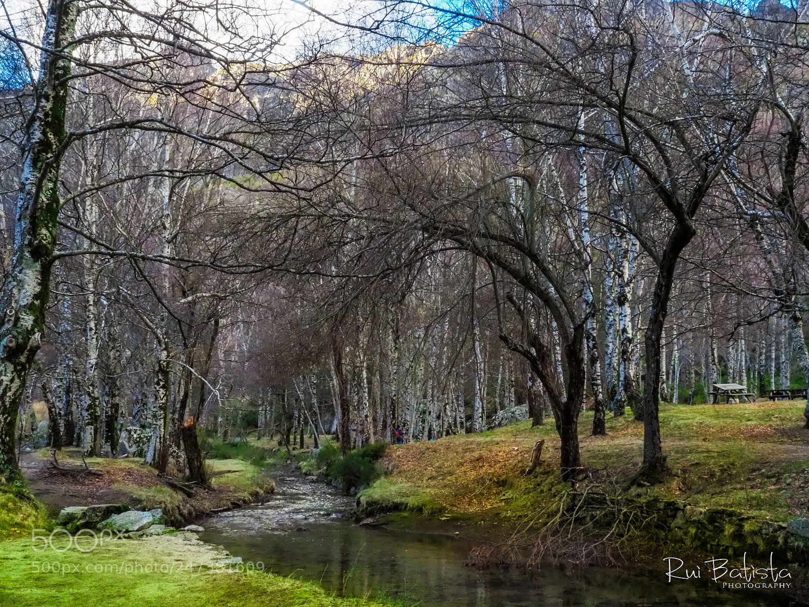 Olympus OM-D E-M1 Mark II sample photo. Olympus digital camera photography
