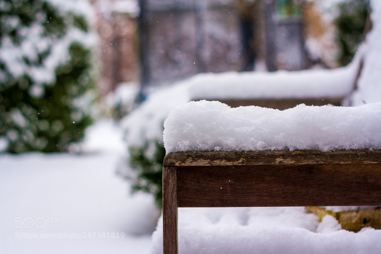 Canon EOS 1000D (EOS Digital Rebel XS / EOS Kiss F) sample photo. Snow in hamburg photography