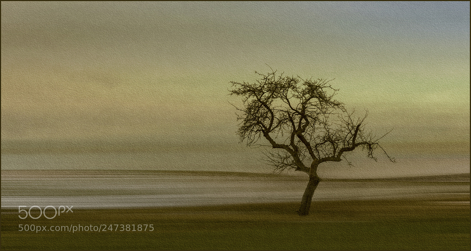 Canon EOS 60D sample photo. Winter morning photography