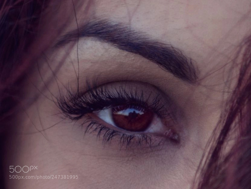 Nikon D800E sample photo. Untitled photography