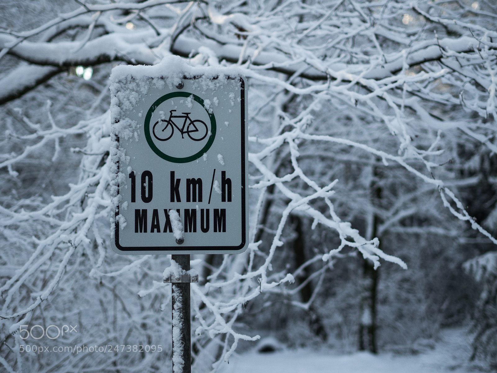 Olympus OM-D E-M1 sample photo. Bike sign photography