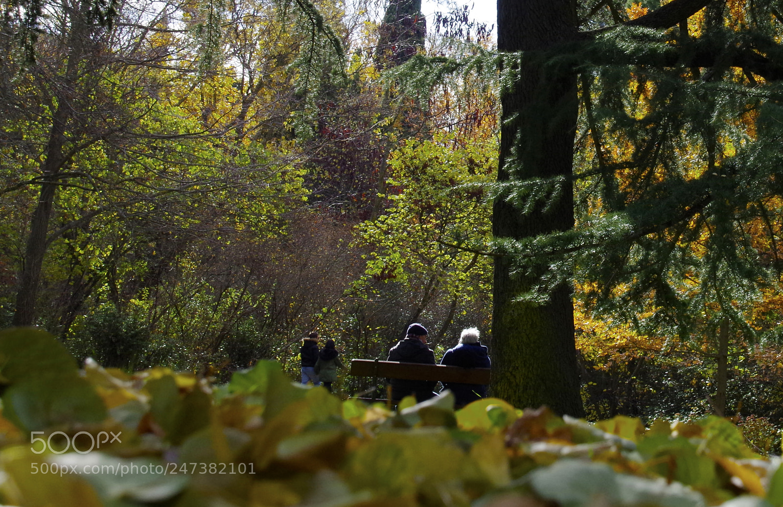 Pentax K-50 sample photo. El capricho madrid photography