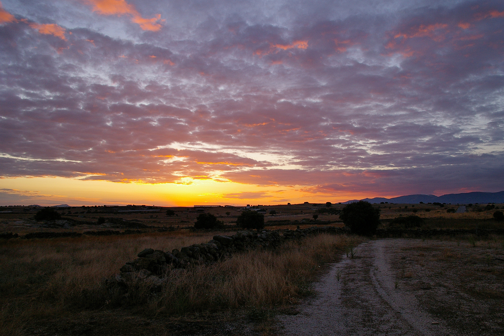 Pentax *ist DL sample photo. Atardecer photography