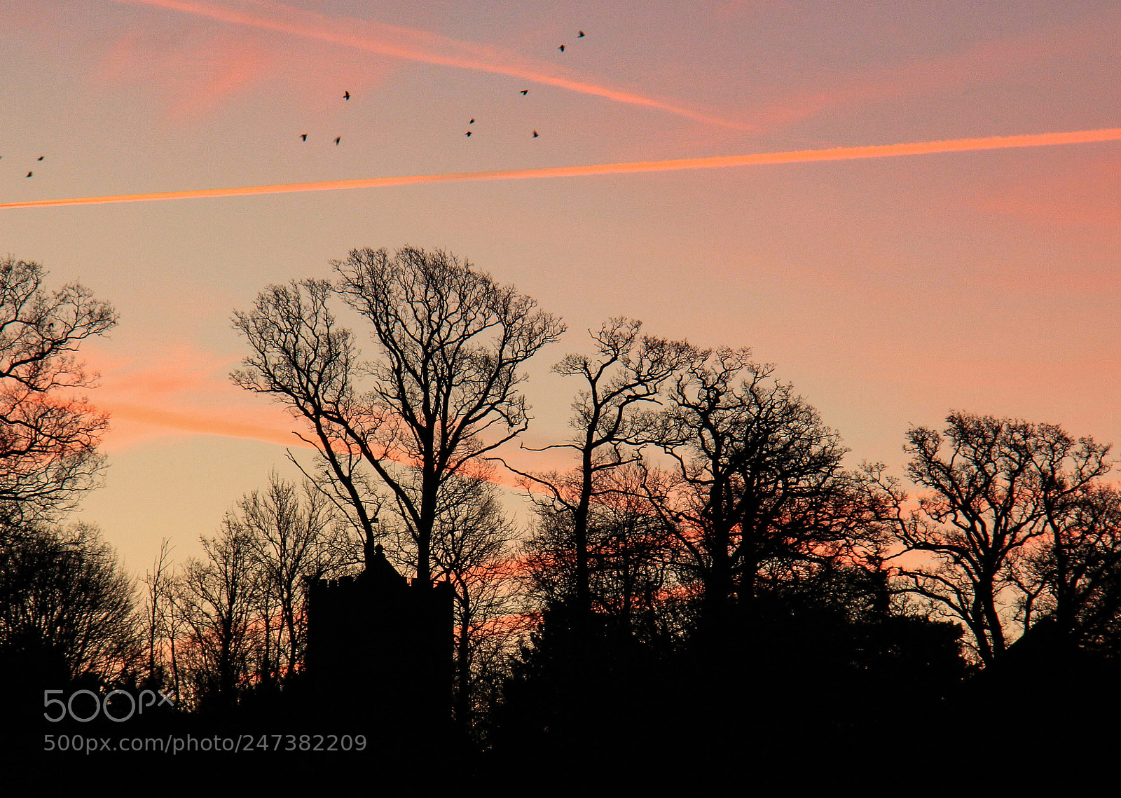 Canon EOS 700D (EOS Rebel T5i / EOS Kiss X7i) sample photo. Skyline silhouette photography