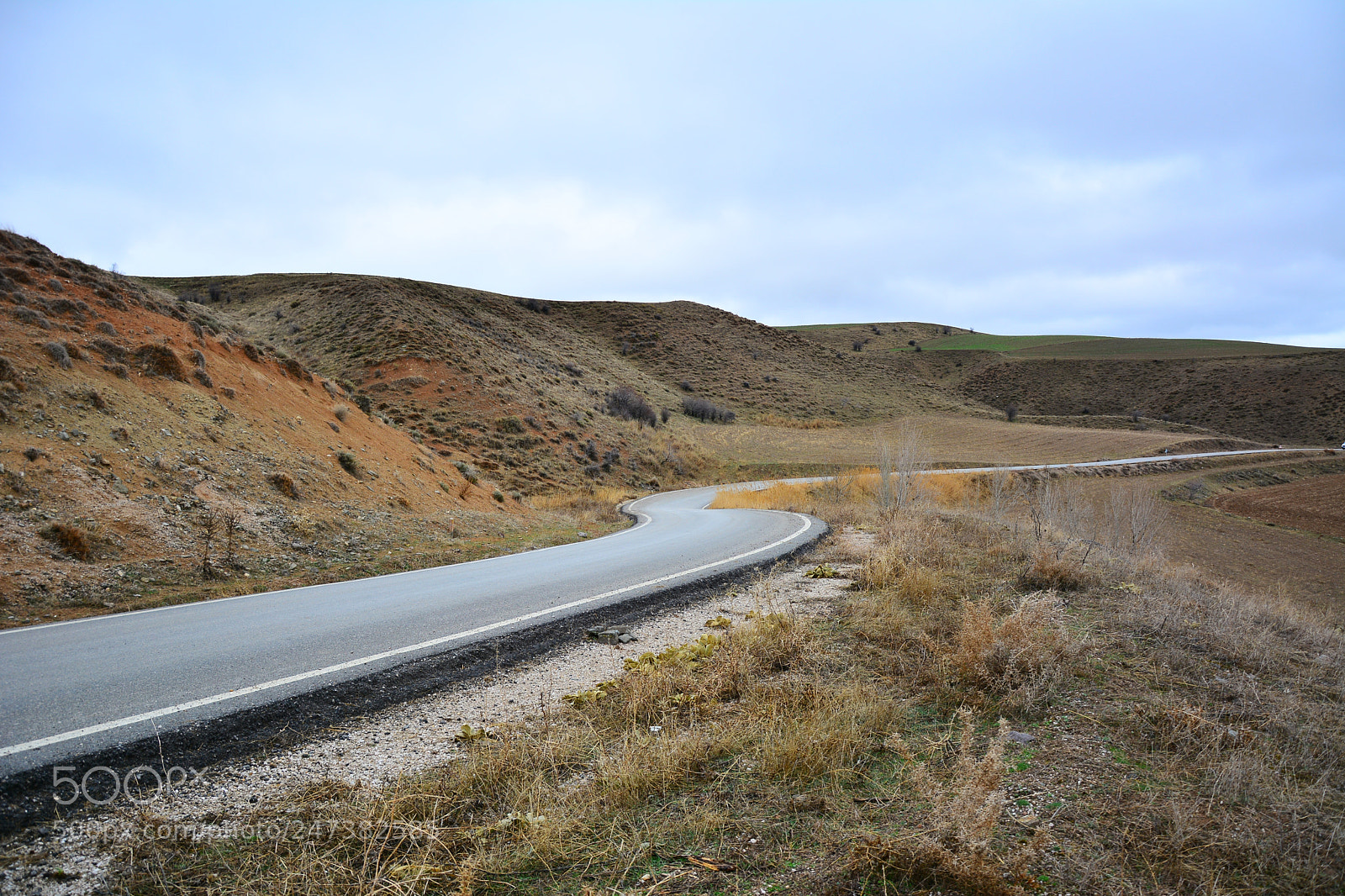Nikon D7100 sample photo. Yollar photography