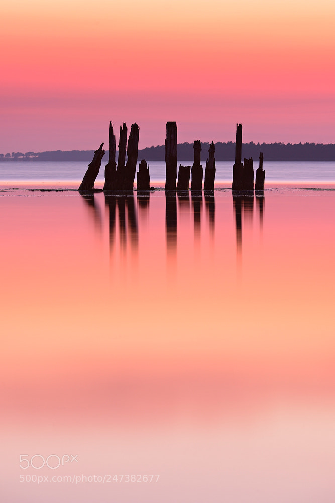 Nikon D800 sample photo. Afterglow photography