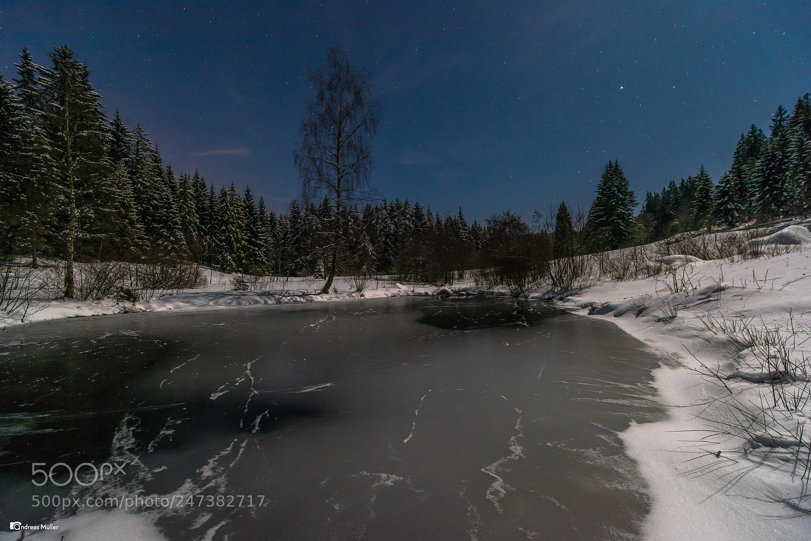 Nikon D810 sample photo. Moonlight at the pond photography