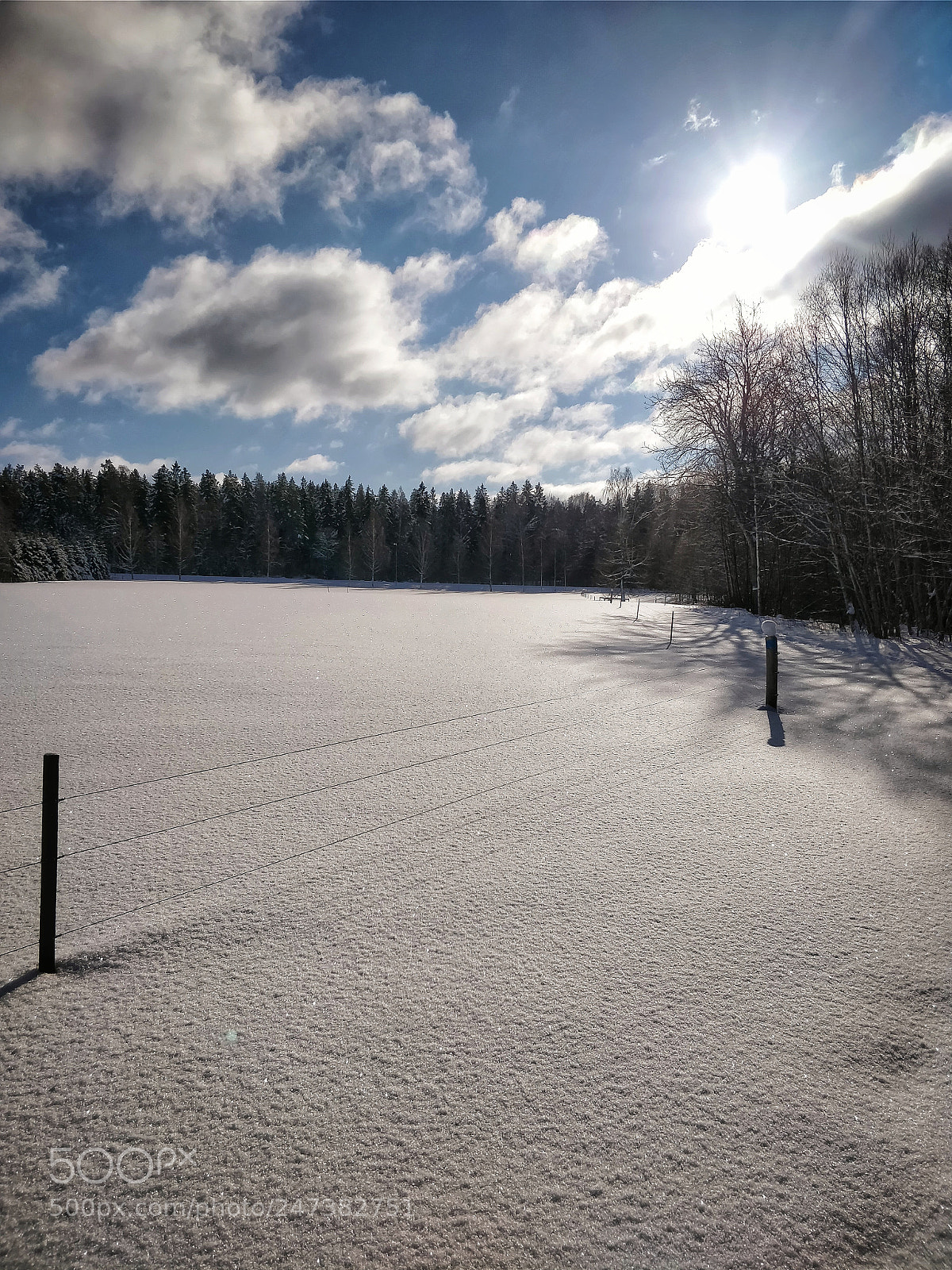OnePlus 5 sample photo. Snöpuls photography