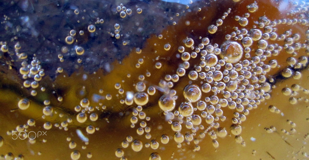 Canon PowerShot A810 sample photo. Pearls photography
