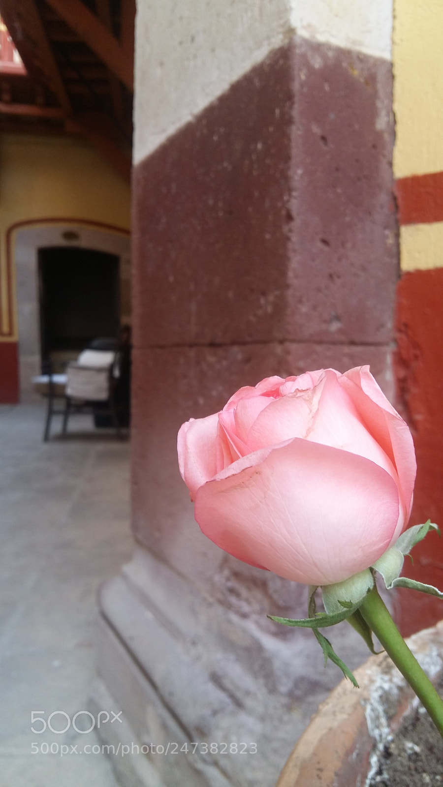 Samsung Galaxy A5 sample photo. Untitled photography