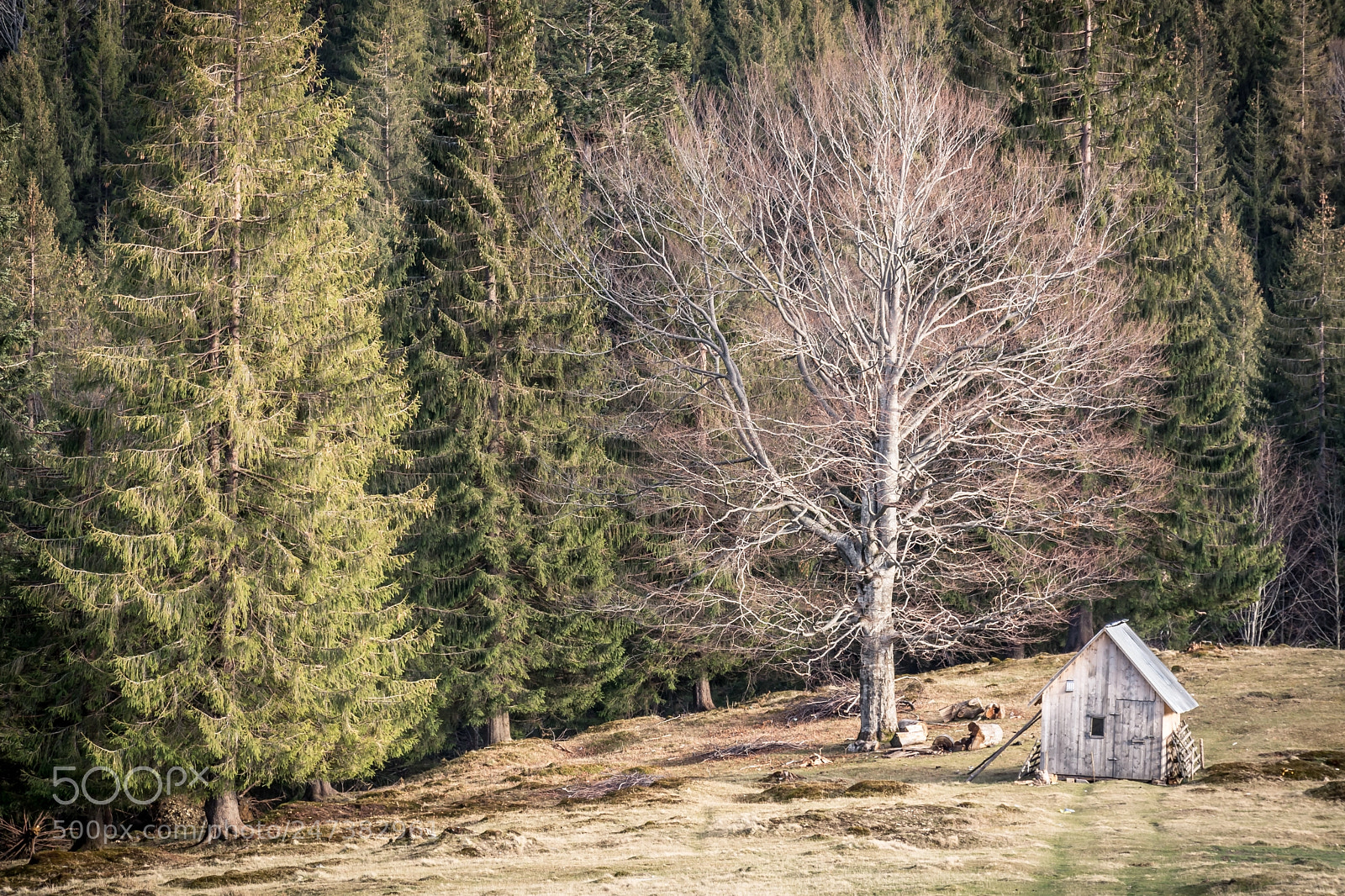 Nikon D7100 sample photo. Lonely house photography