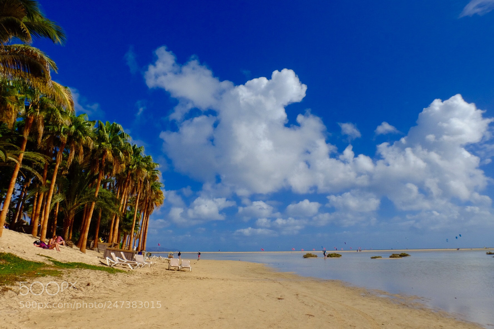 Fujifilm X-T10 sample photo. Sea & palm trees photography