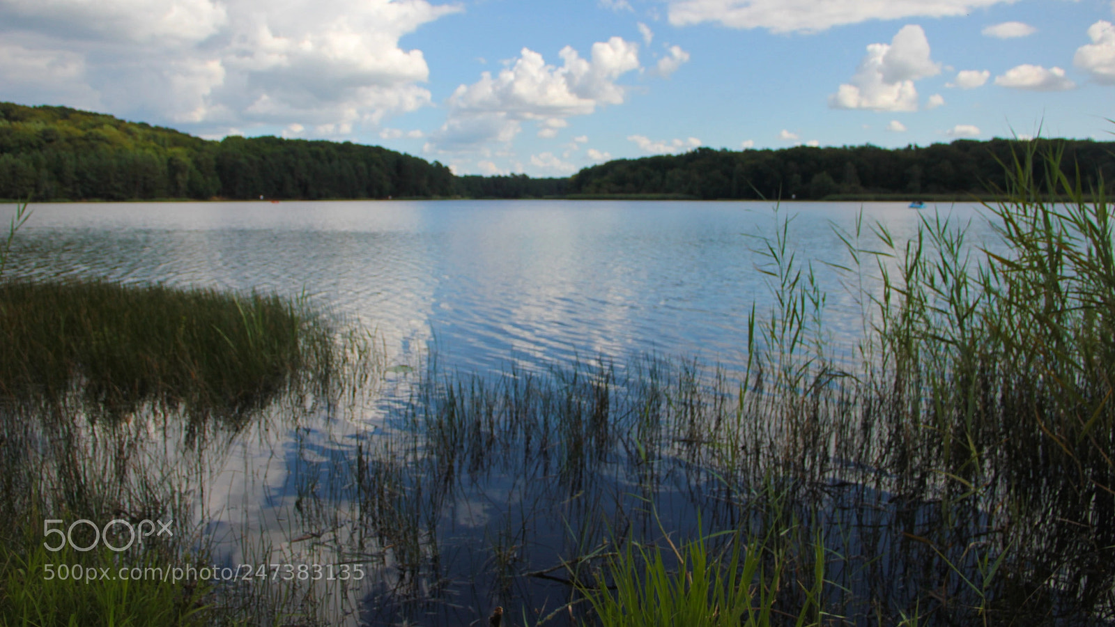 Canon EOS 550D (EOS Rebel T2i / EOS Kiss X4) sample photo. Saint bonnet (allier) photography