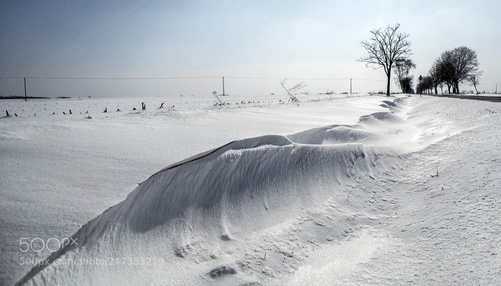 Nikon D7100 sample photo. Winter photography