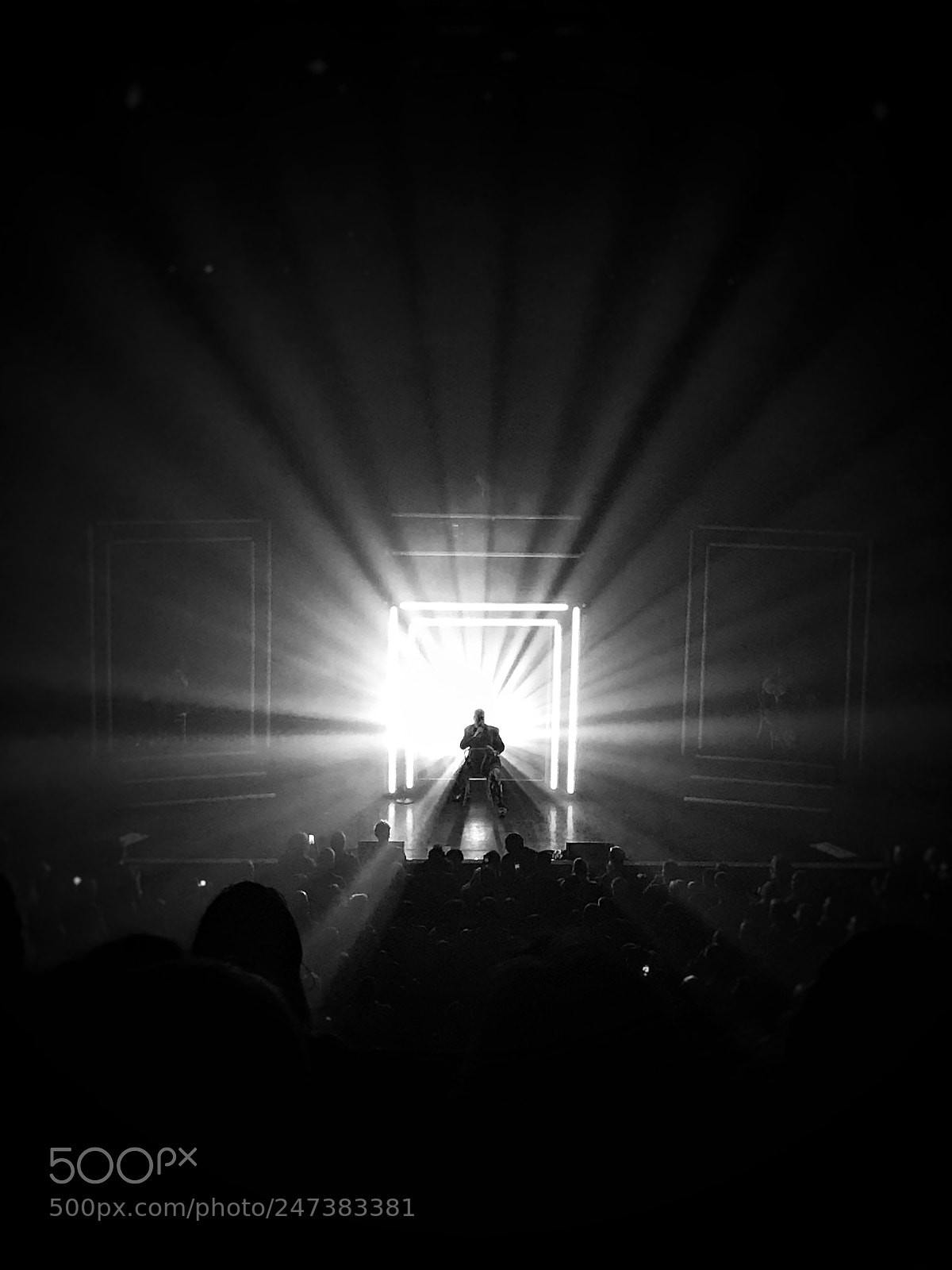 Apple iPhone 7 Plus sample photo. Erasure live photography