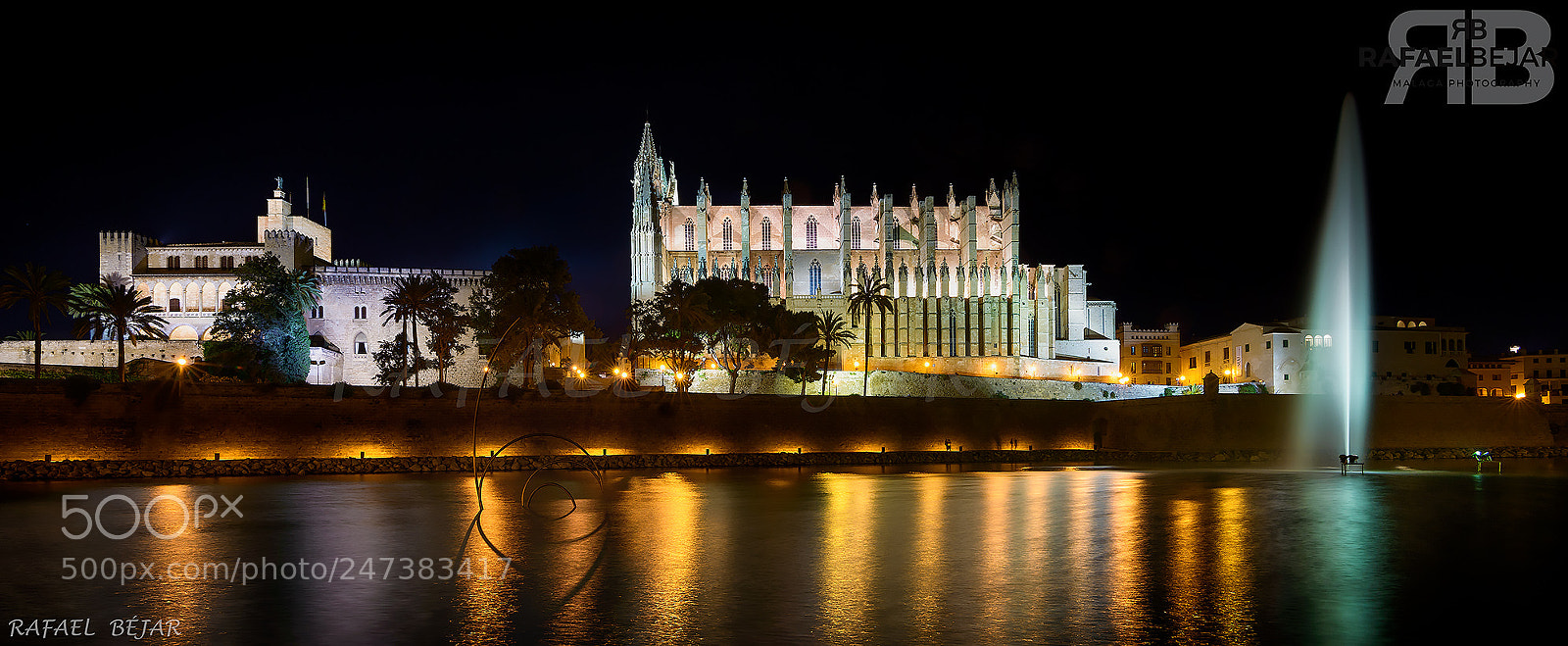 Nikon D800 sample photo. Catedral de palma photography