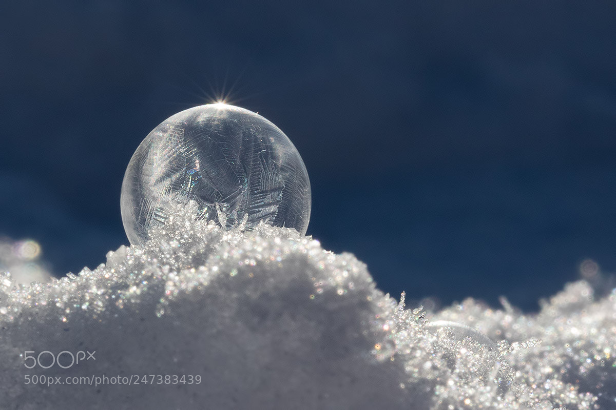 Canon EOS 7D Mark II sample photo. Soap bubble in the photography