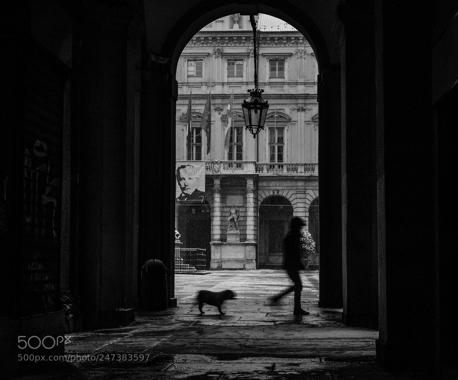 Nikon D5100 sample photo. Snow in turin photography