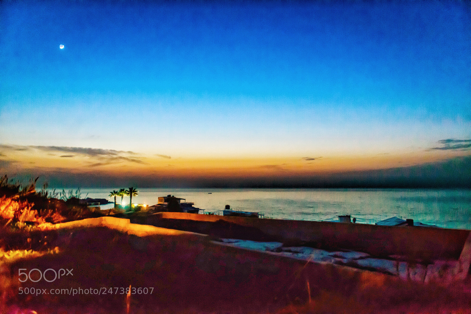 Nikon D800E sample photo. Twilight photography