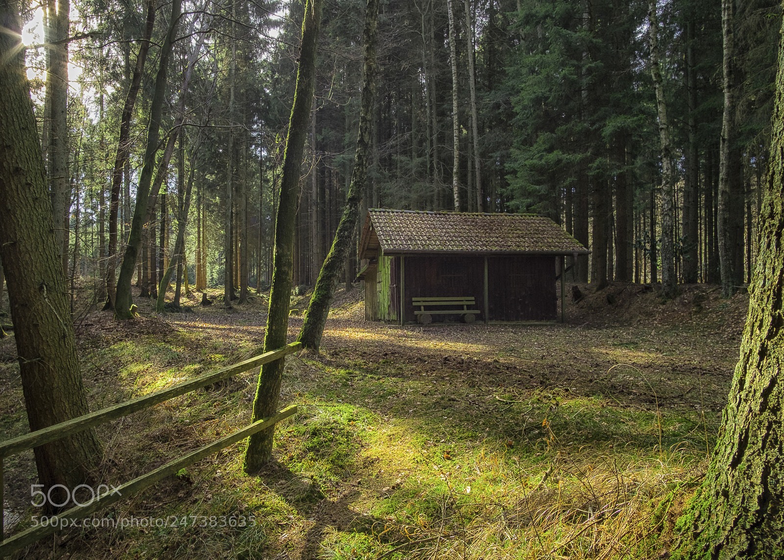 Fujifilm X-T1 sample photo. Haus im wald photography
