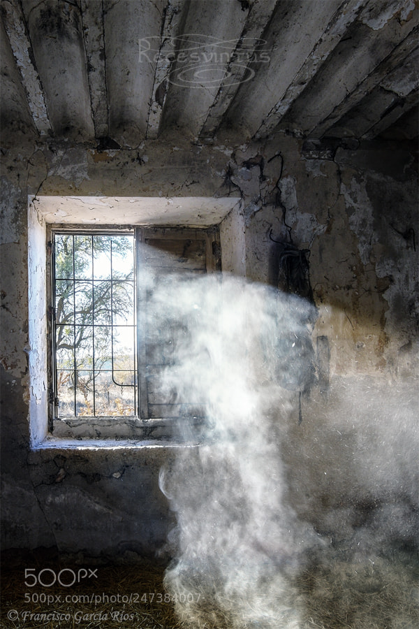 Canon EOS 50D sample photo. Revelations of a haunted photography