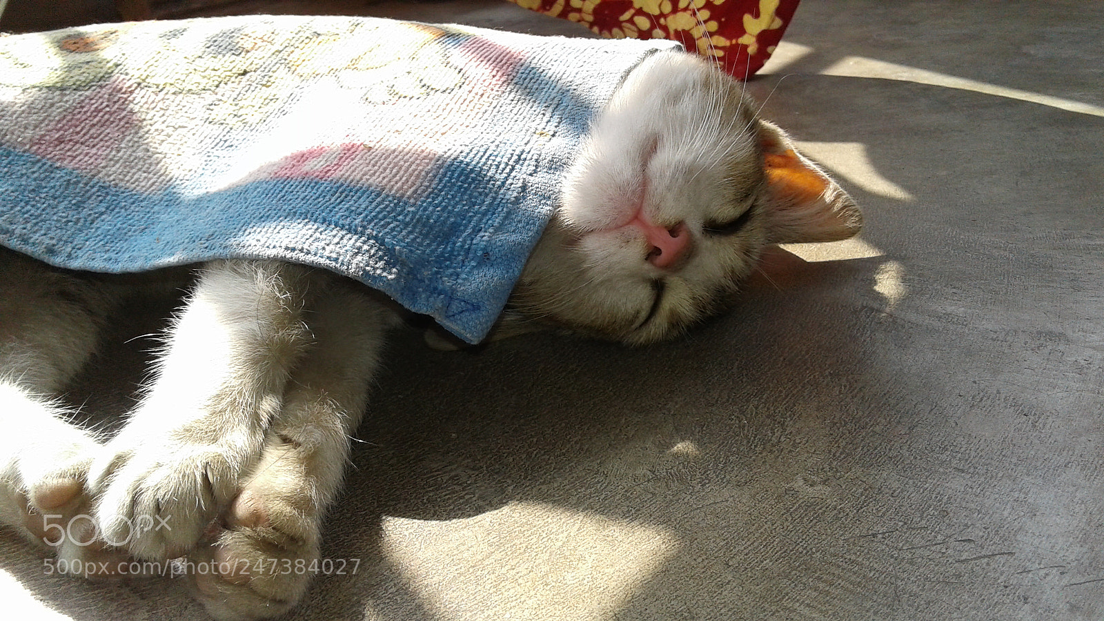 Samsung Galaxy J2 sample photo. Sleeping photography