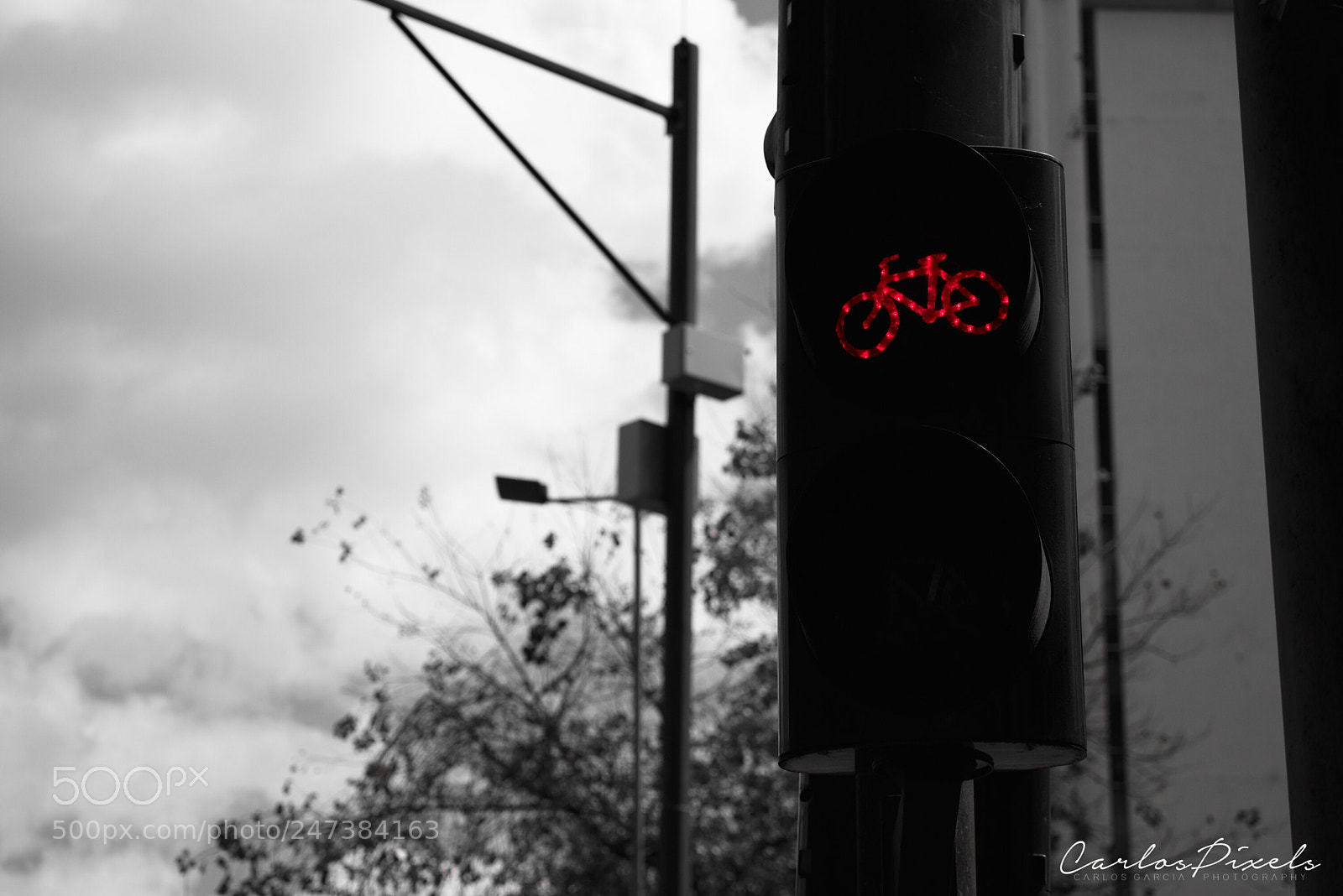 Nikon D3400 sample photo. Stop photography