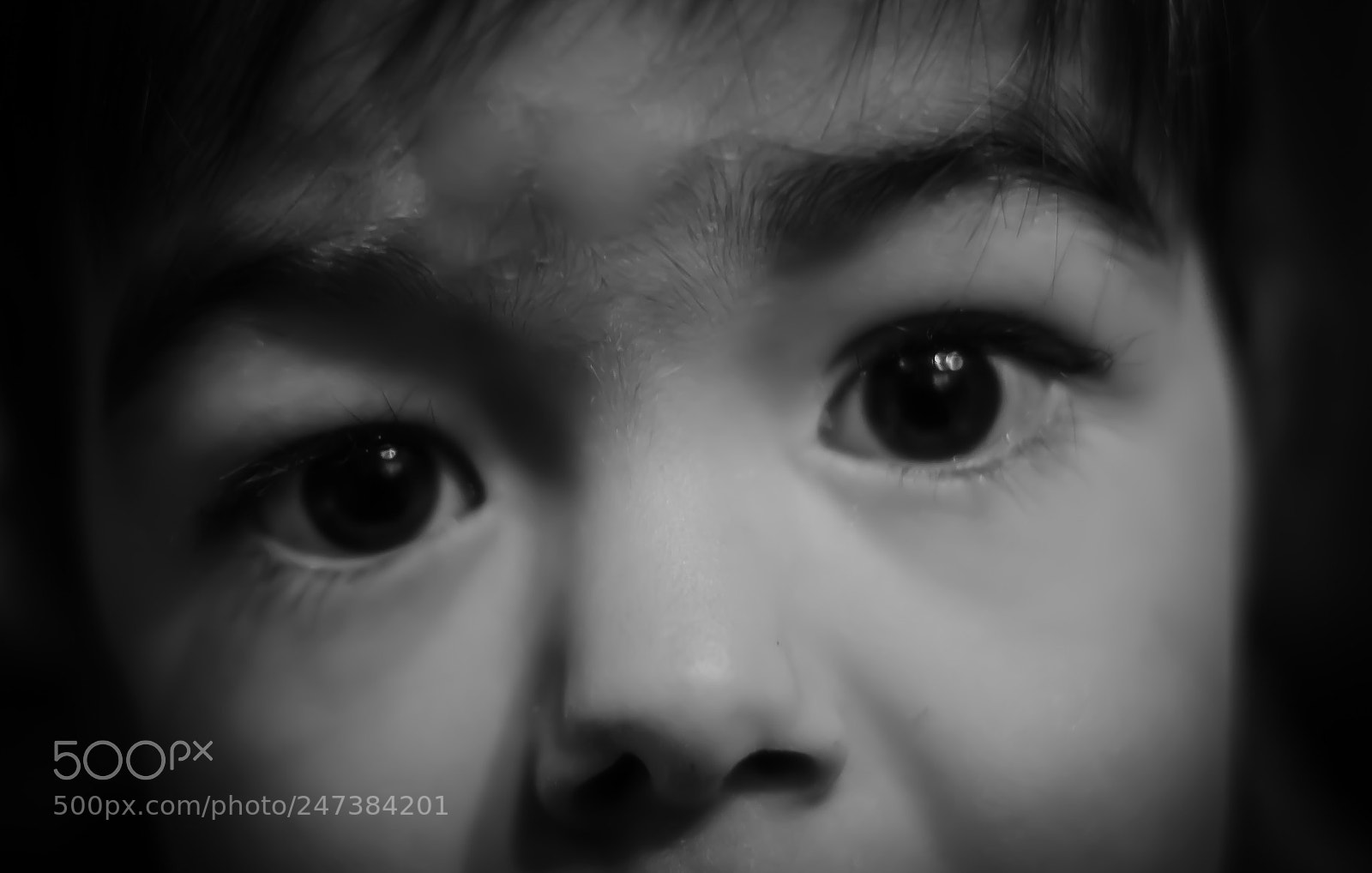 Canon EOS 7D Mark II sample photo. Noir et blanc photography