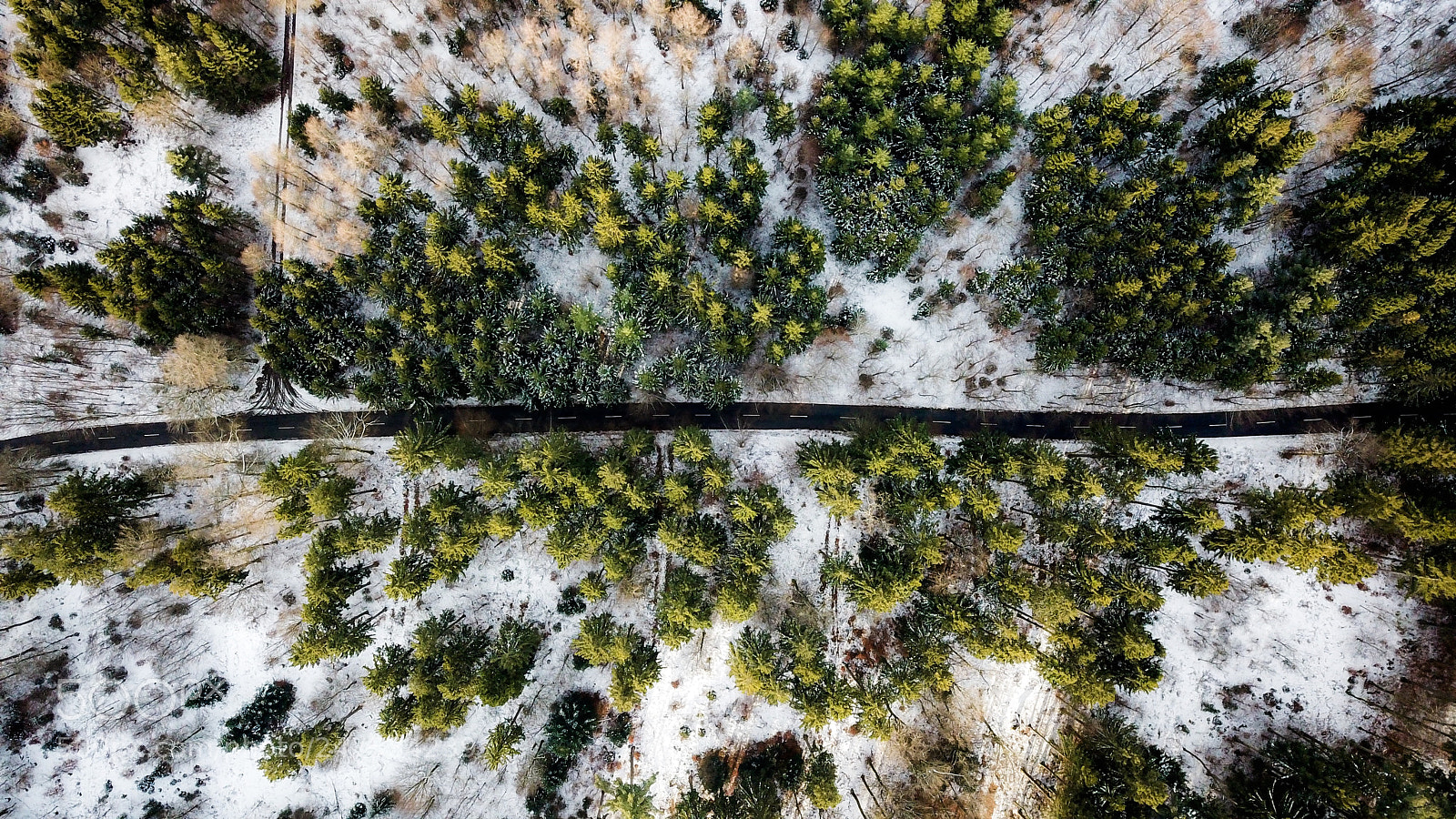 DJI FC220 sample photo. Untitled photography