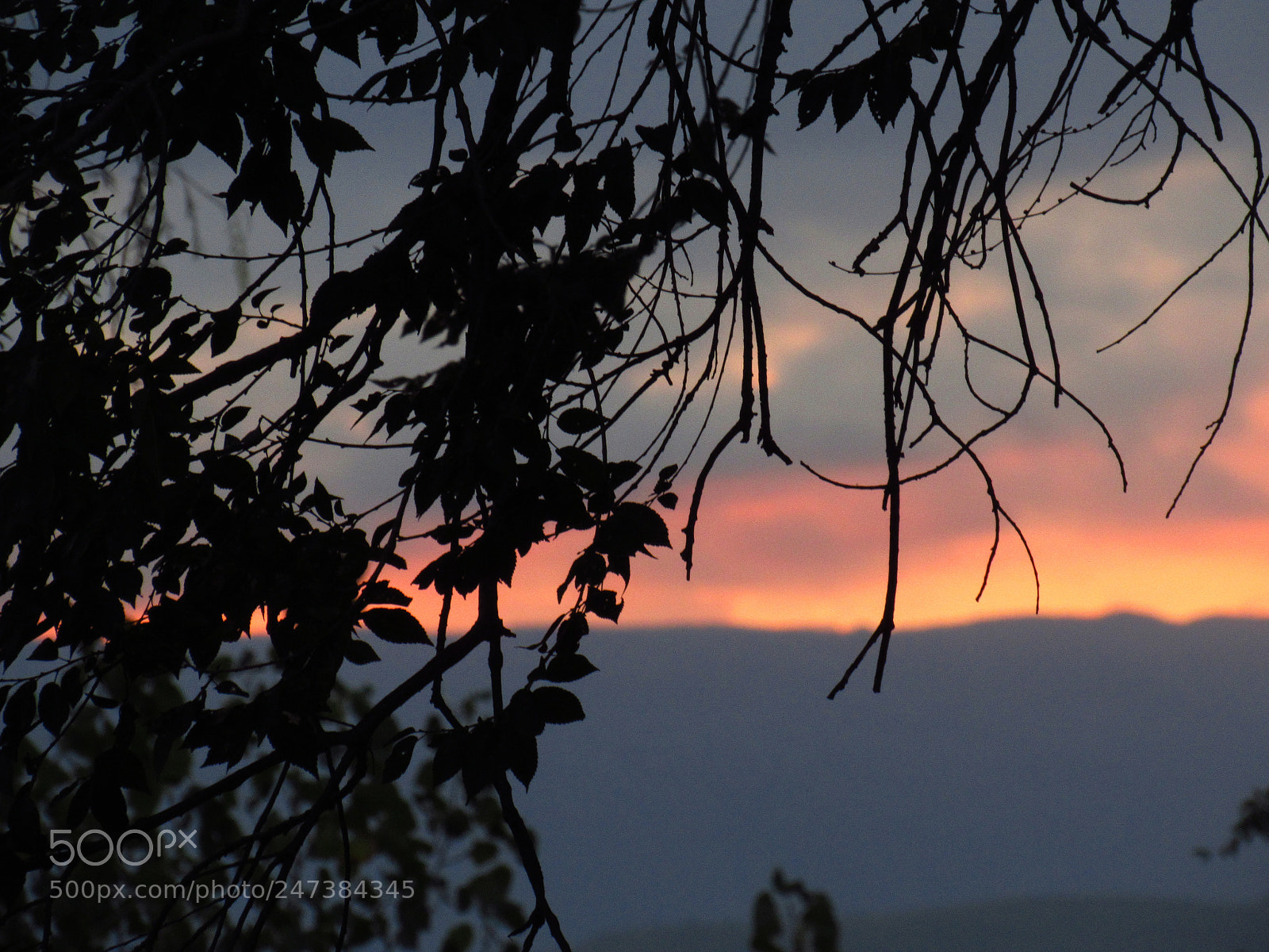 Canon PowerShot SX520 HS sample photo. Presente photography
