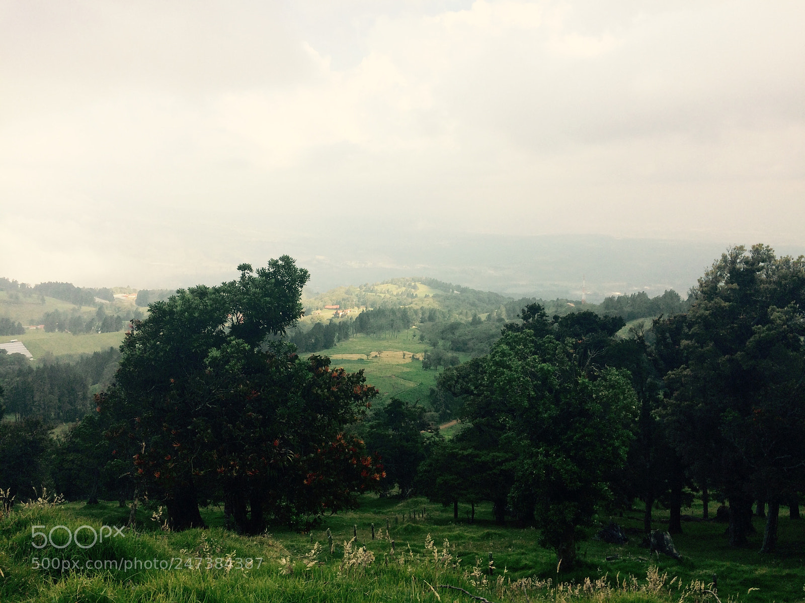 Apple iPhone 5s sample photo. Costa rican plains photography