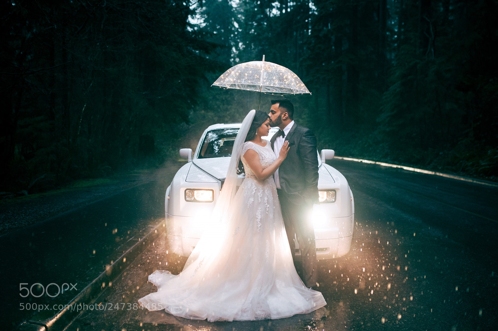 Nikon D850 sample photo. Untitled photography