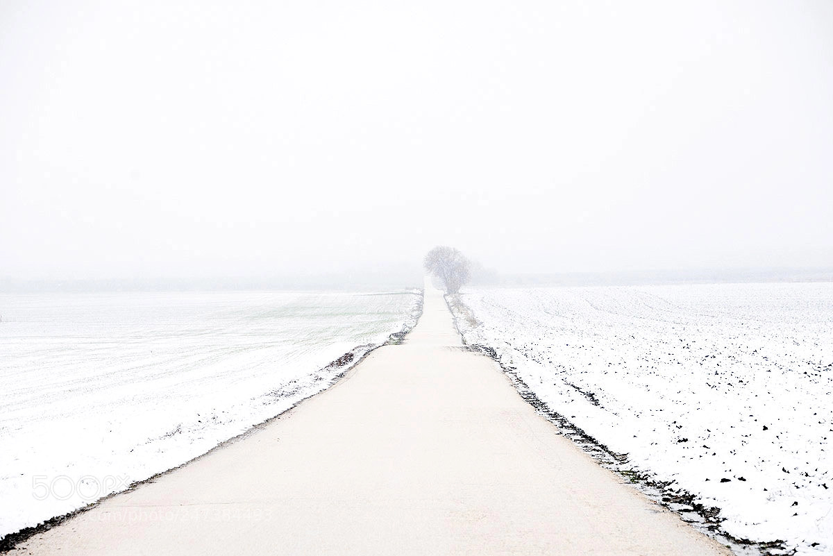 Nikon D610 sample photo. Road to winter photography