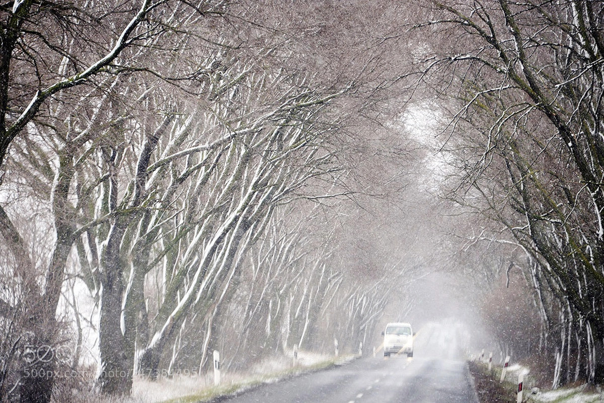 Nikon D610 sample photo. Winter road under the photography