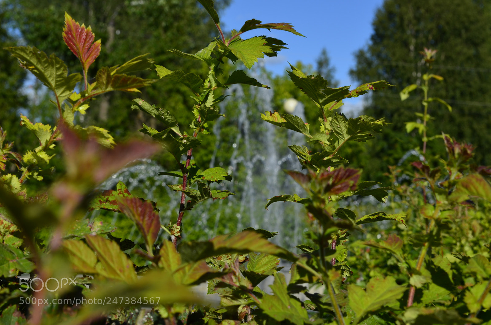 Nikon D5100 sample photo. Untitled photography