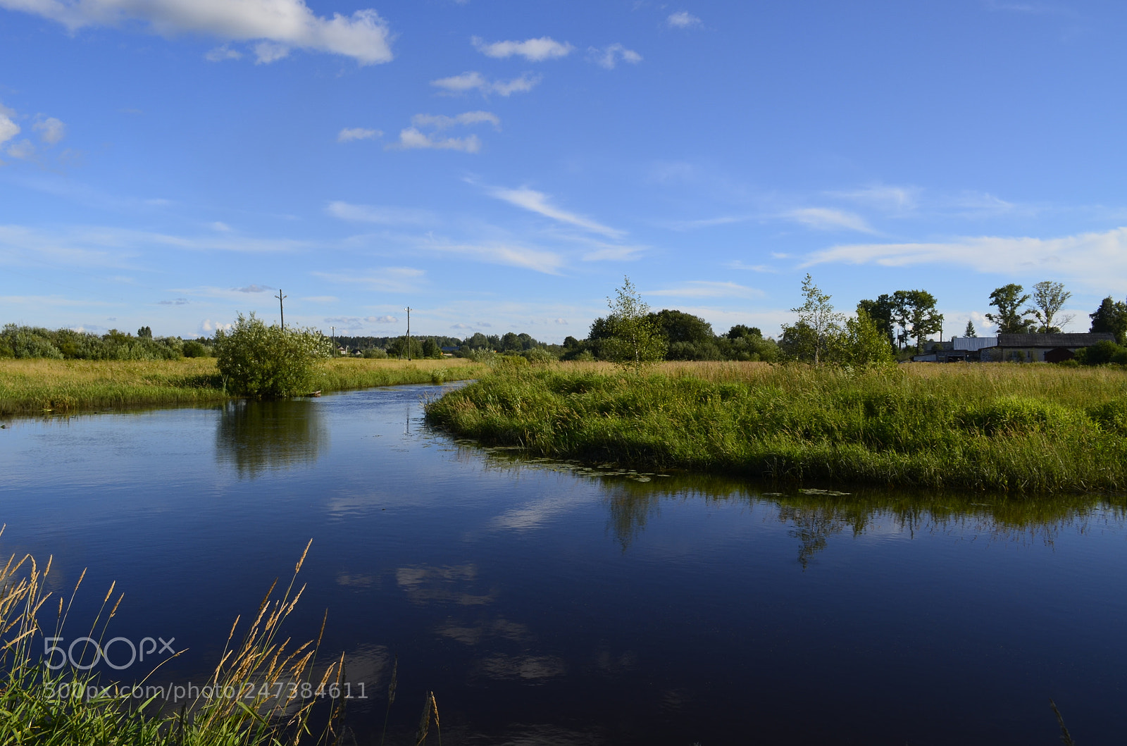 Nikon D5100 sample photo. Untitled photography