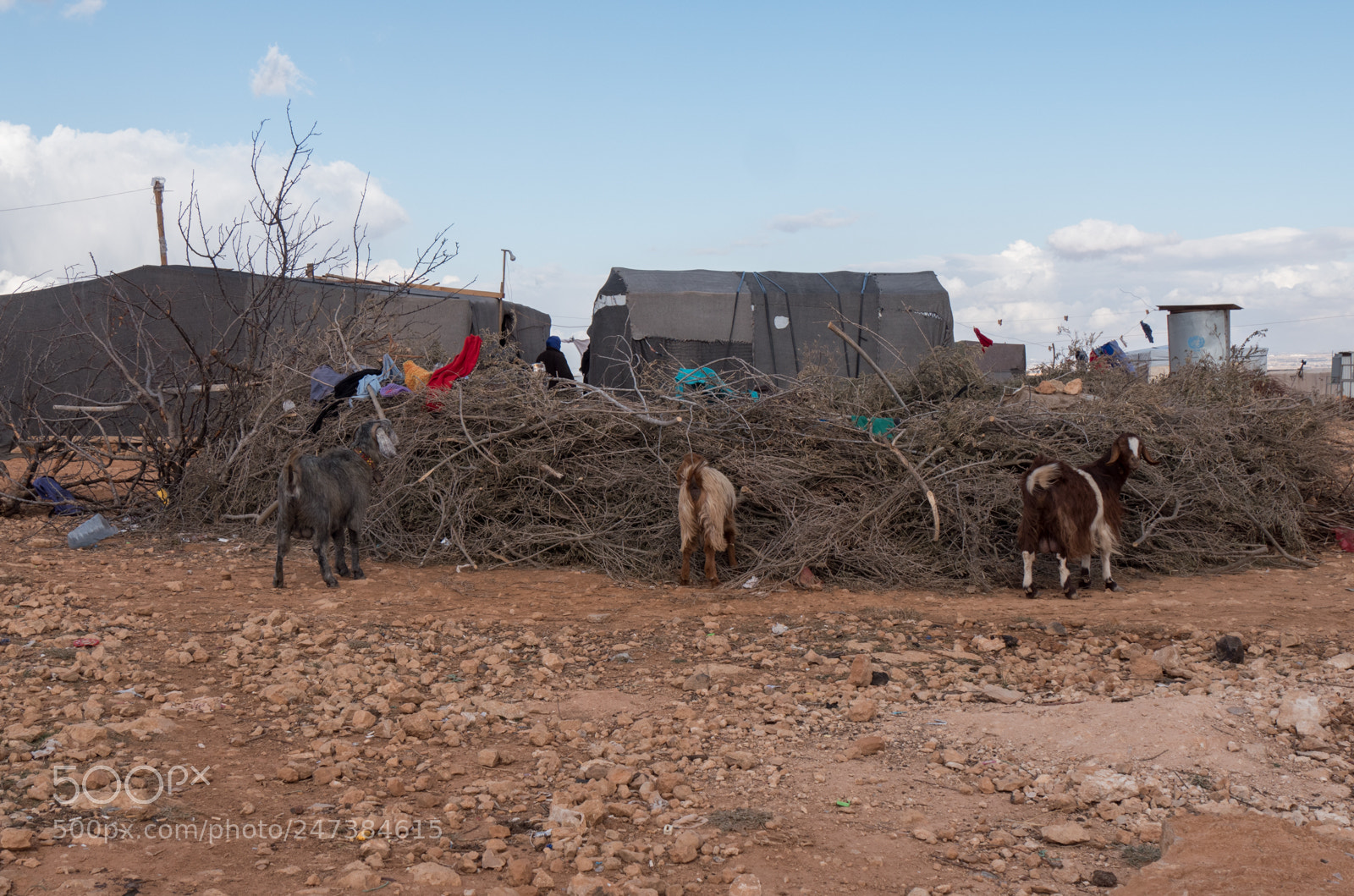 Panasonic Lumix DMC-GX8 sample photo. Bekaa jan 2018 photography