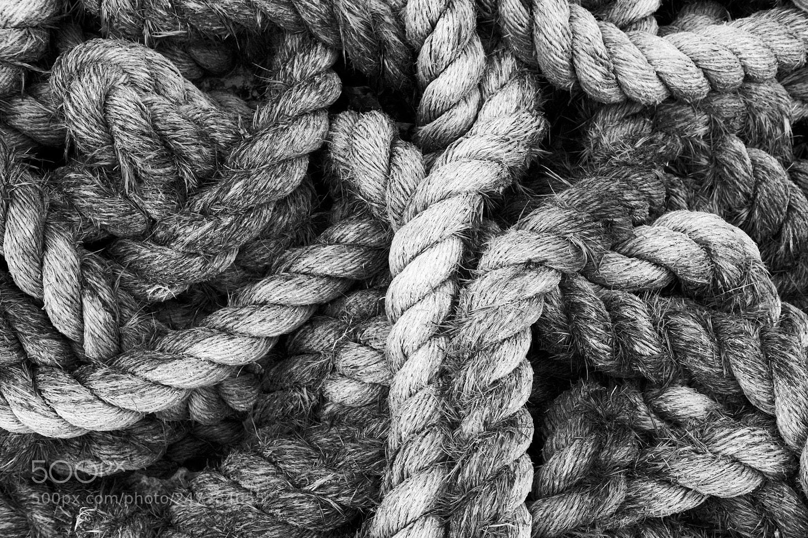Fujifilm X-Pro2 sample photo. Rope. photography