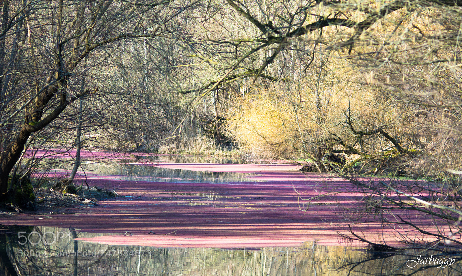 Nikon D7100 sample photo. To day's natural pastel photography