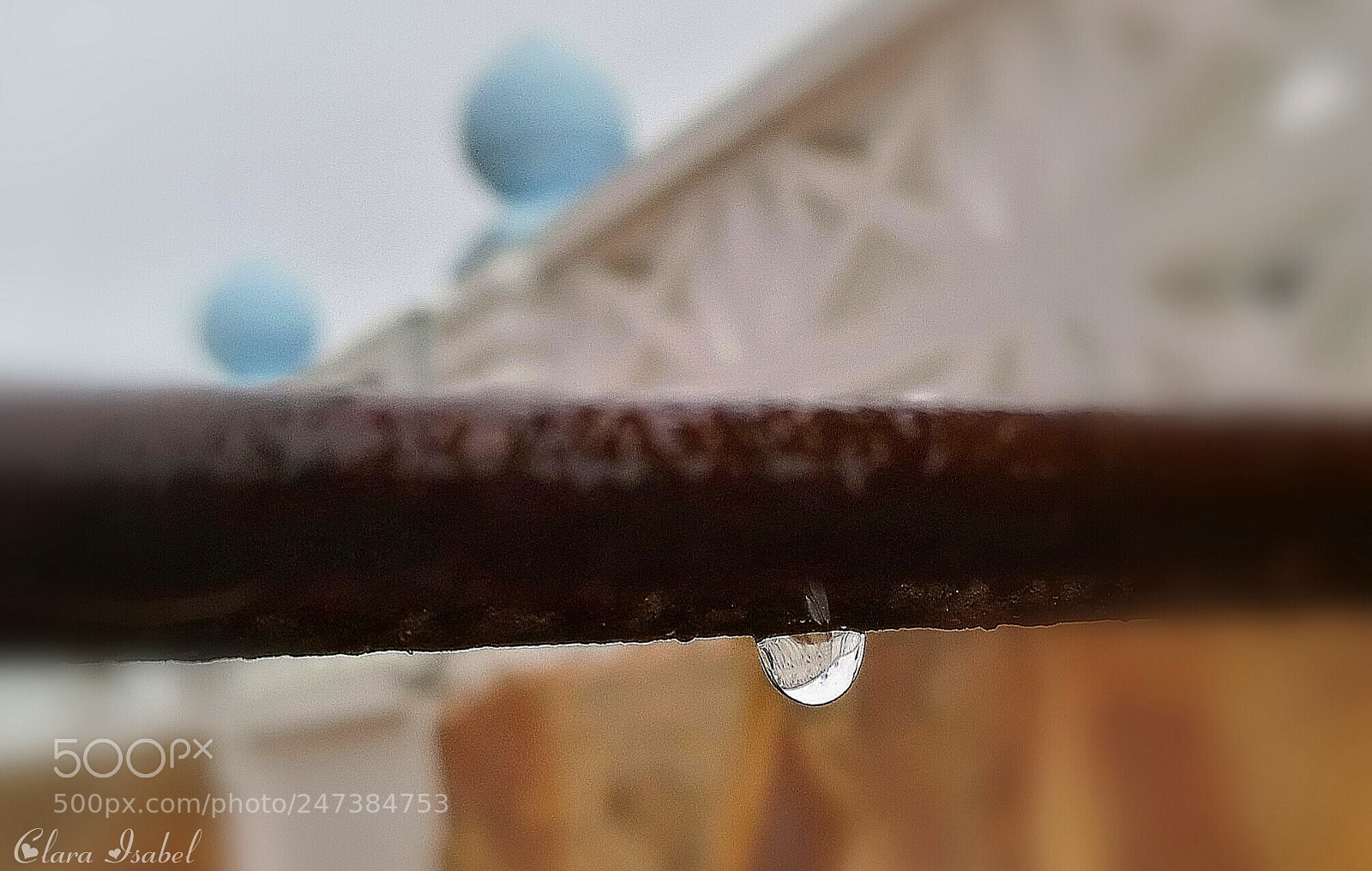 HUAWEI P9 Plus sample photo. Gota de lluvia... photography