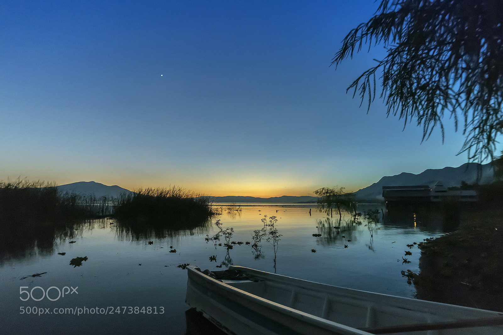 Nikon D810 sample photo. Evening on lake chapala photography