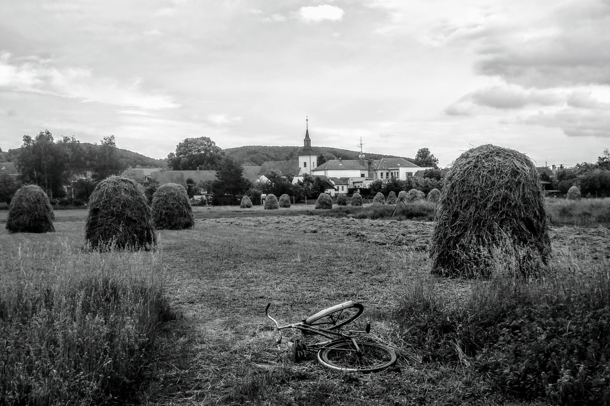 Sony DSC-W50 sample photo. Summer in the countryside photography