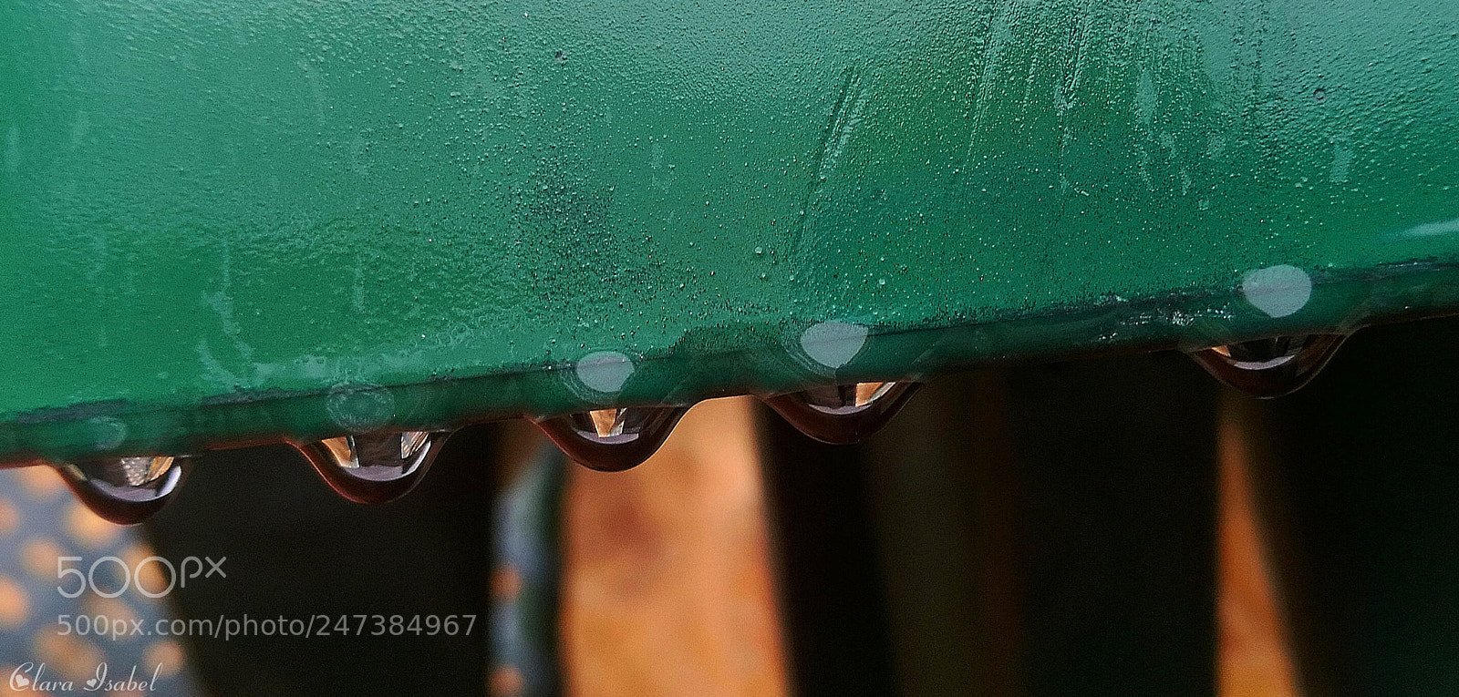 HUAWEI P9 Plus sample photo. Gotas de lluvia... photography