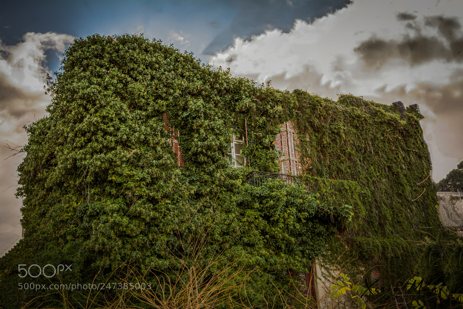 Nikon D5200 sample photo. Nature house photography