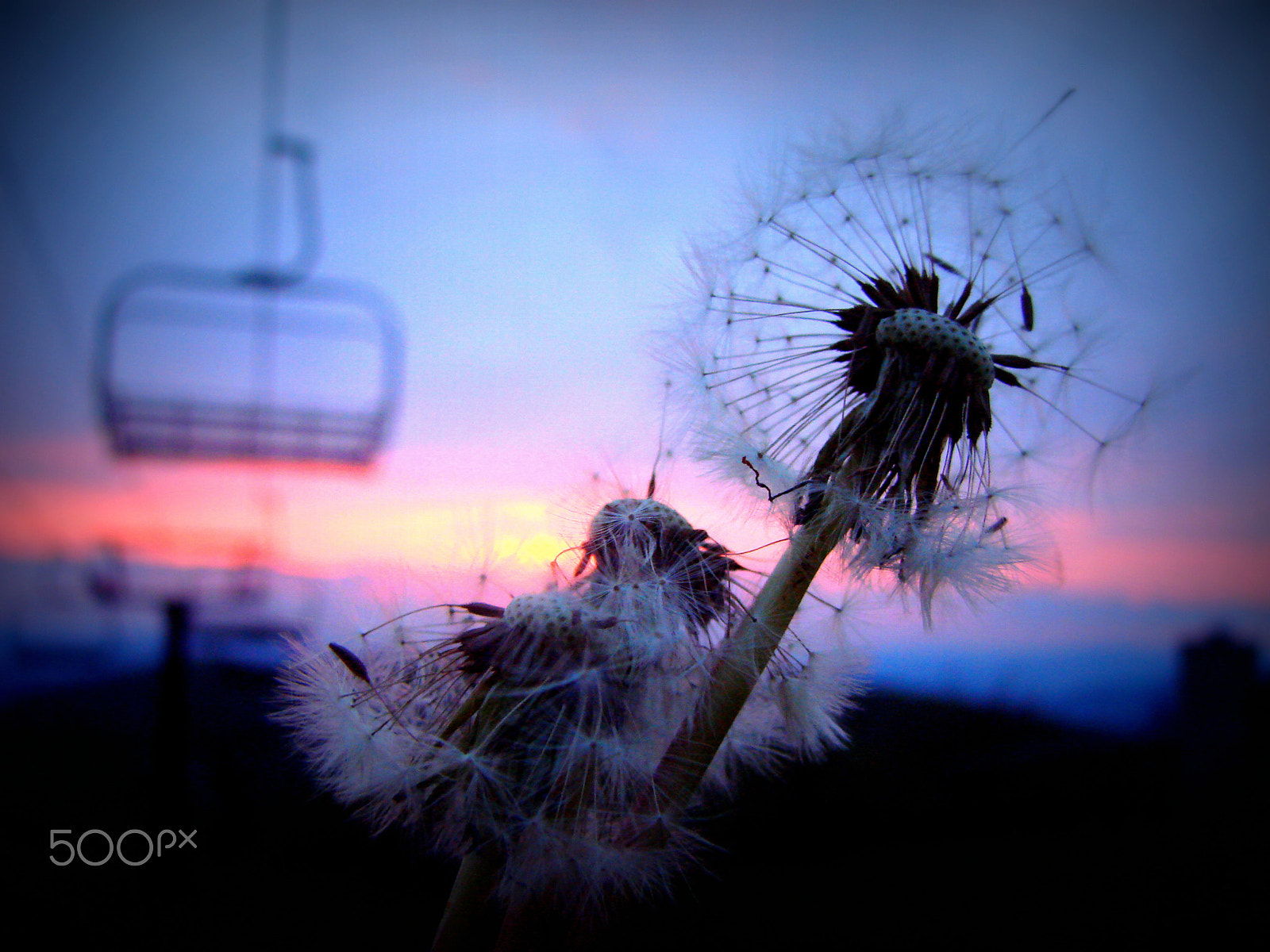 Sony DSC-H5 sample photo. Make a wish photography