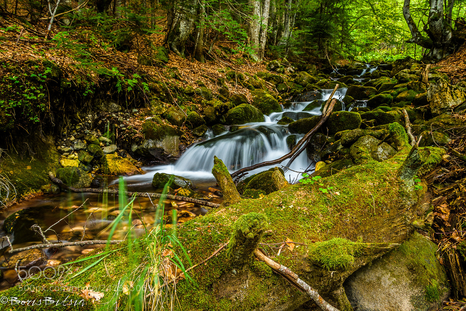 Nikon D7200 sample photo. Beauty in the pirin photography