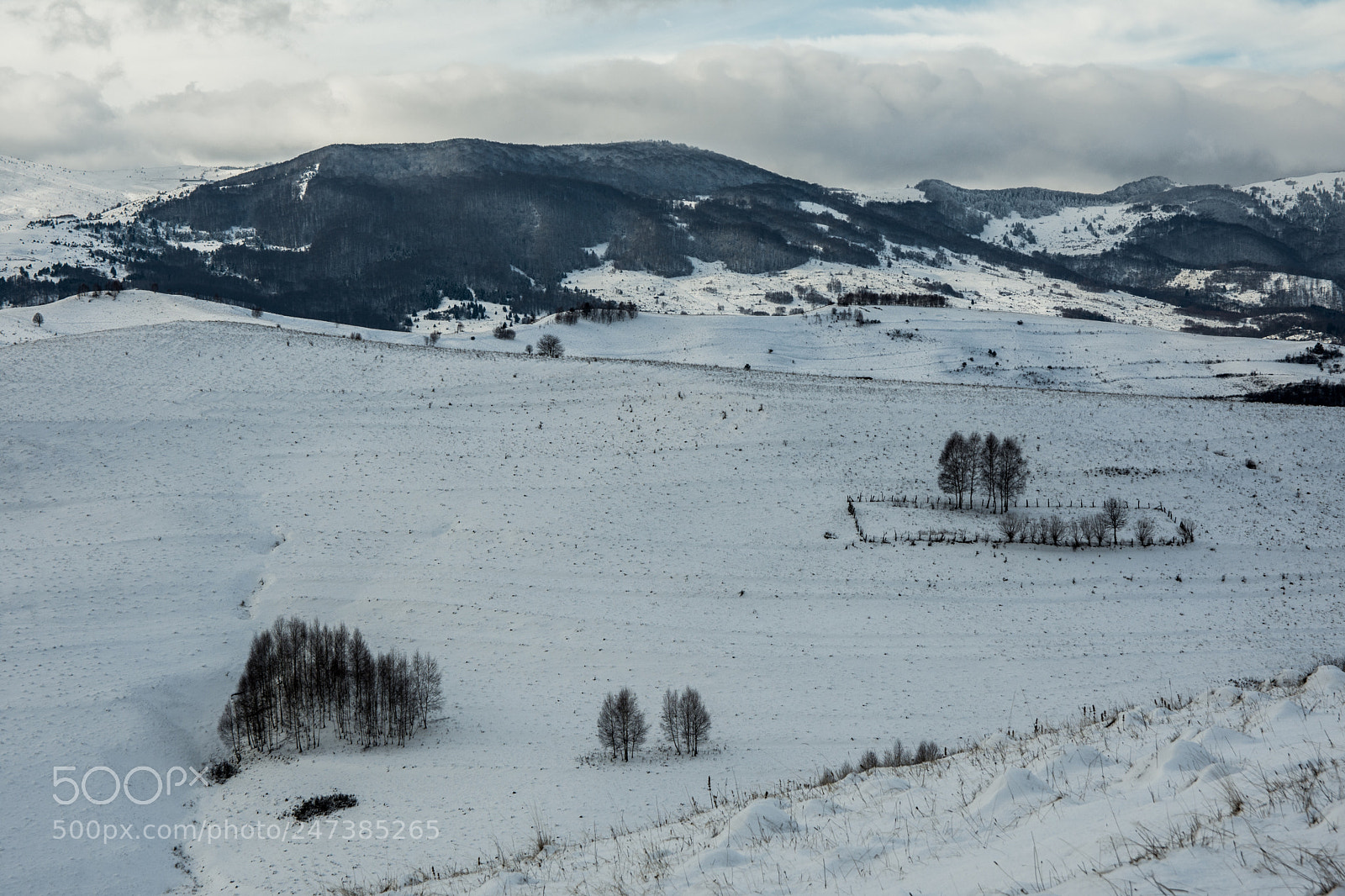 Nikon D7200 sample photo. Somewhere i belong. photography