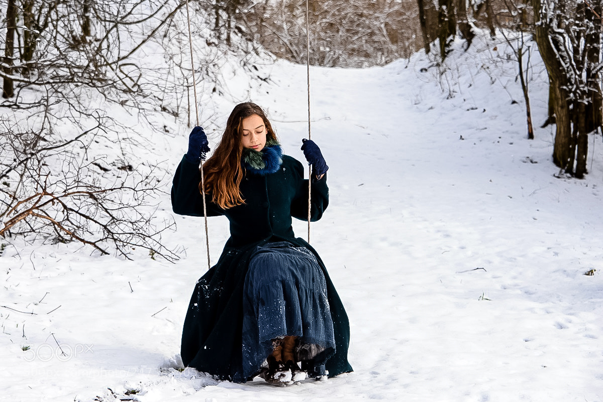 Nikon D610 sample photo. Winter dreaming photography